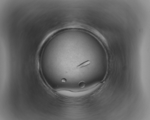 X0000112021368200908101353