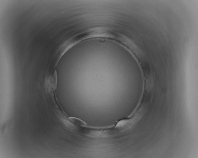 X0000112021369200908101353