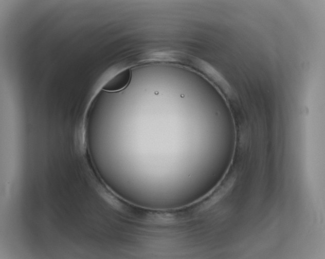 X0000112021370200908101353