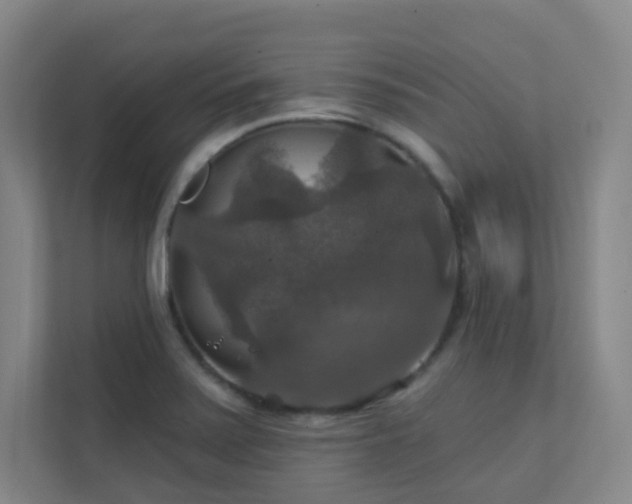 X0000112021371200908101353