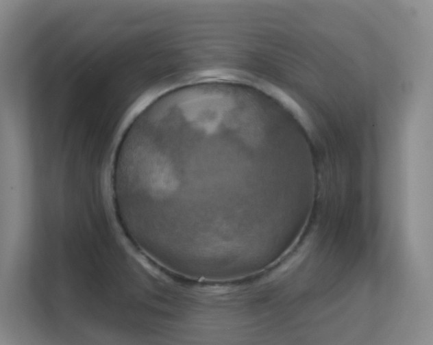 X0000112021373200908101353