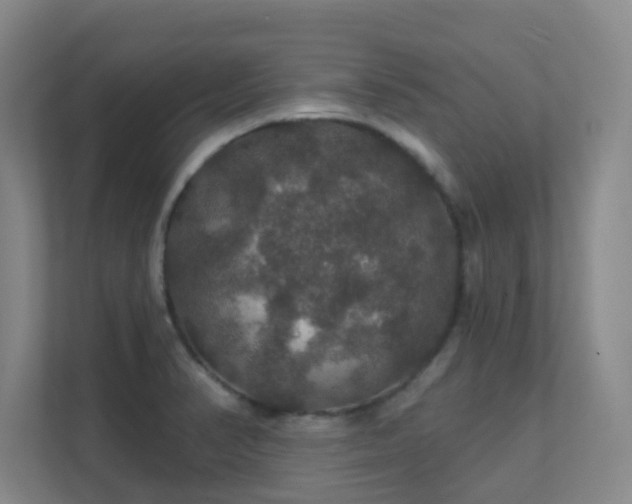 X0000112021374200908101353