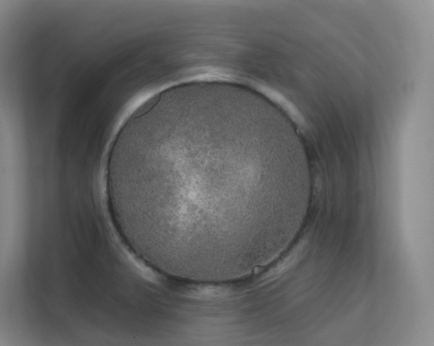 X0000112021375200908101353