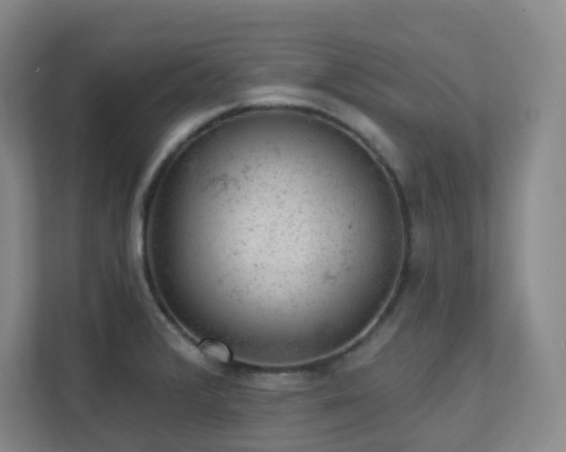 X0000112021376200908101353