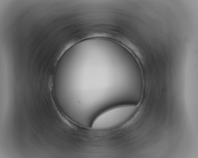 X0000112021377200908101353