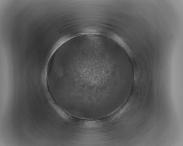 X0000112021378200908101353