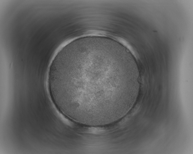 X0000112021379200908101353