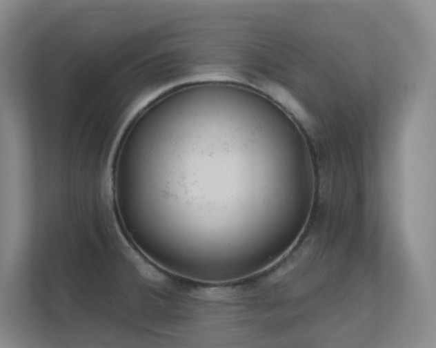 X0000112021380200908101353