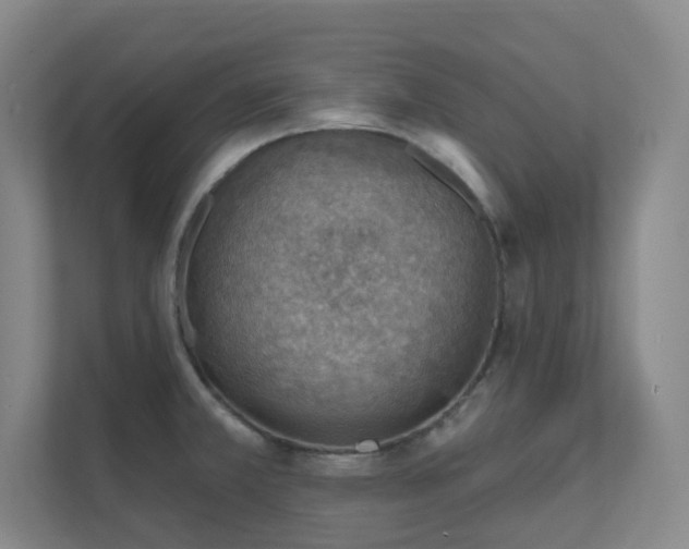 X0000112021381200908101353