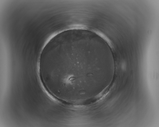 X0000112021383200908101353