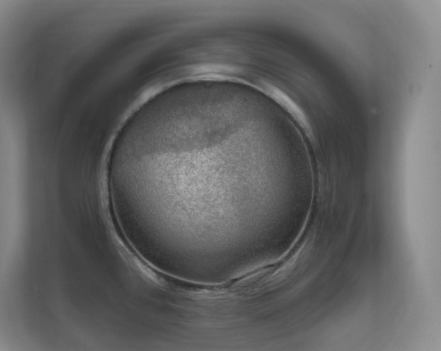 X0000112021384200908101353