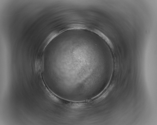 X0000112021385200908101353