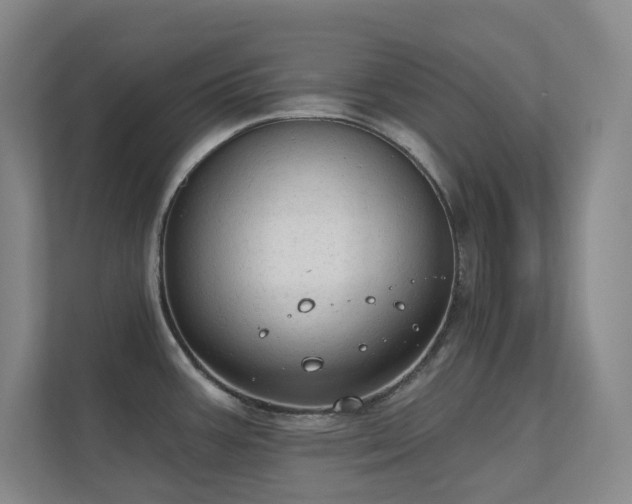 X0000112021387200908101353