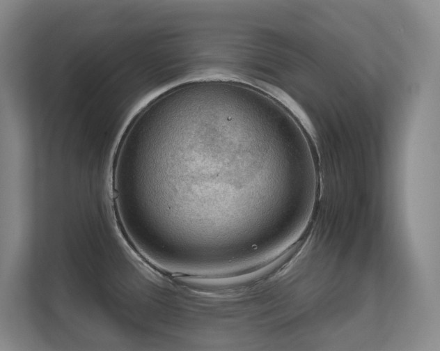 X0000112021388200908101353