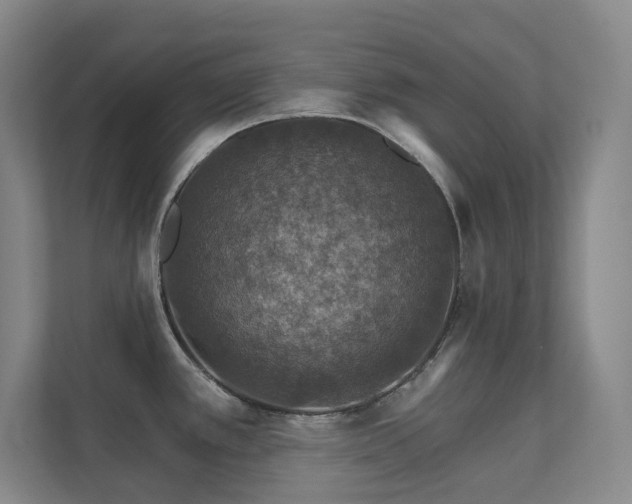 X0000112021389200908101353