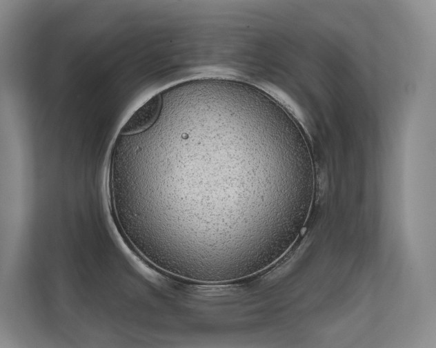 X0000112021391200908101353