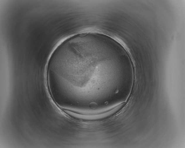 X0000112021392200908101353