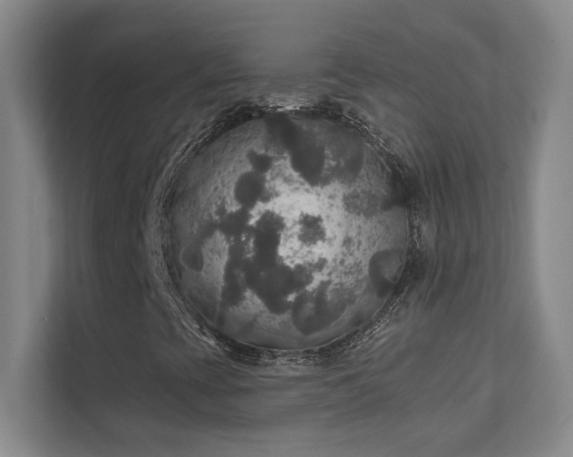 X0000112021393200908101352