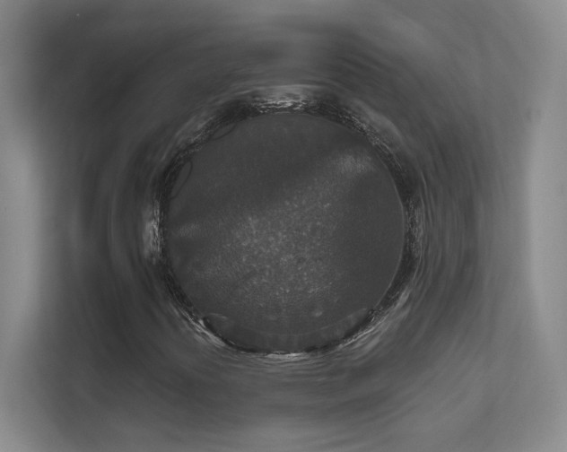 X0000112021394200908101352