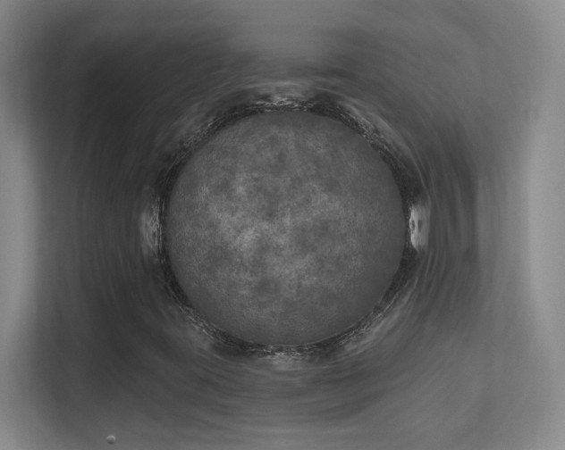 X0000112021395200908101352