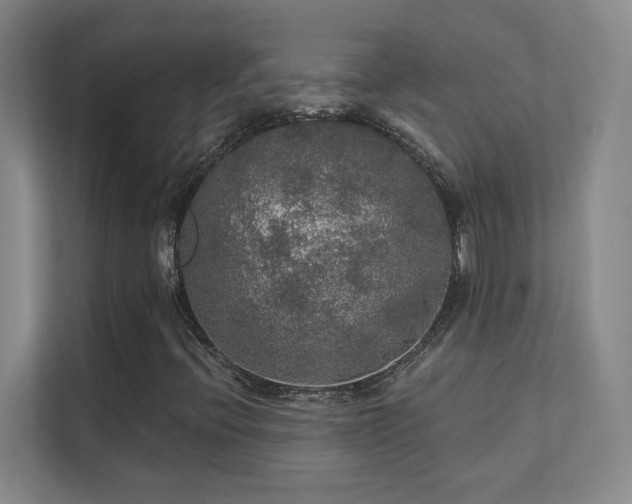 X0000112021396200908101352