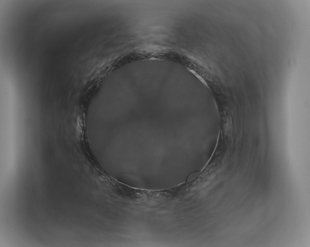 X0000112021397200908101352