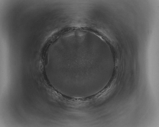 X0000112021398200908101352