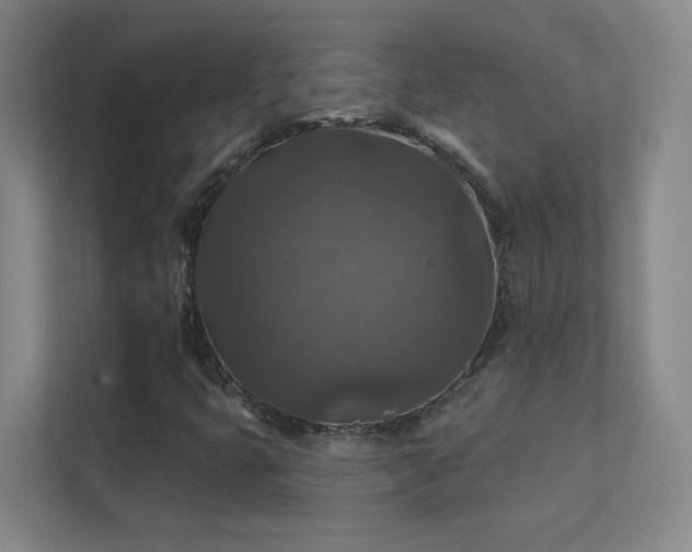 X0000112021399200908101352