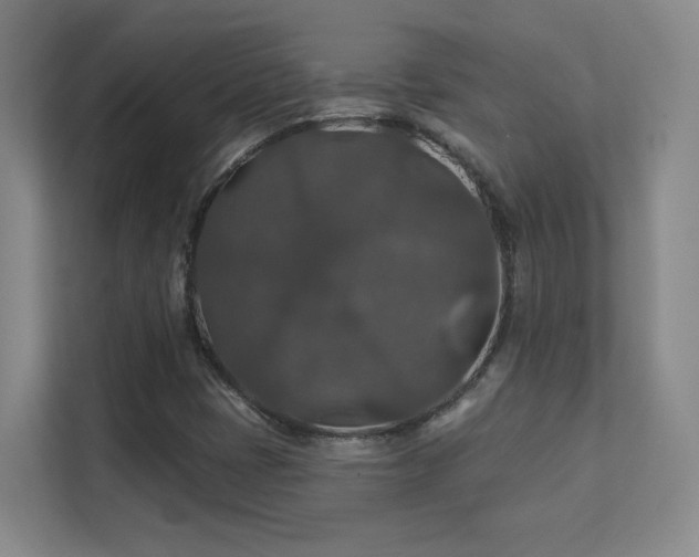 X0000112021401200908101352