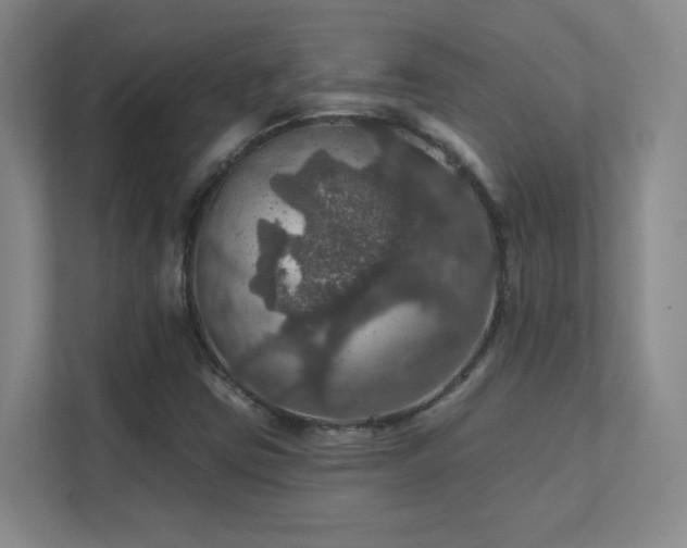 X0000112021403200908101353