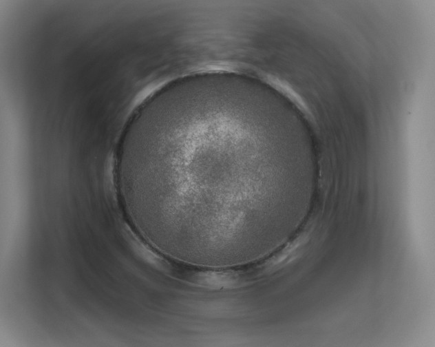 X0000112021404200908101353