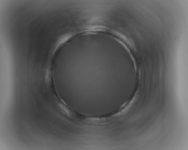 X0000112021405200908101353