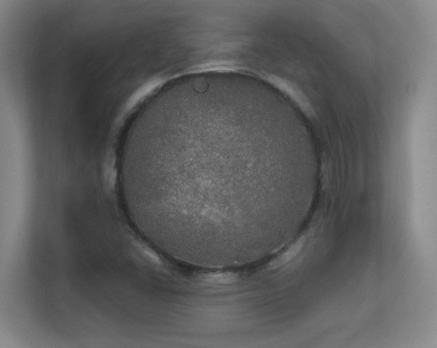 X0000112021406200908101353