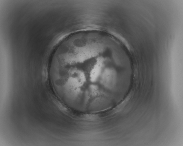 X0000112021407200908101353