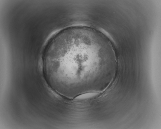 X0000112021408200908101353