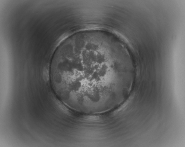 X0000112021409200908101353