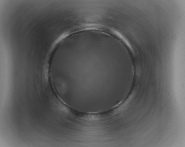 X0000112021411200908101353