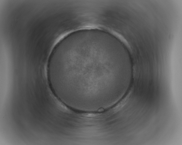 X0000112021412200908101353