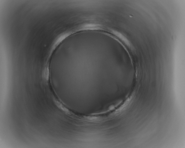 X0000112021413200908101353