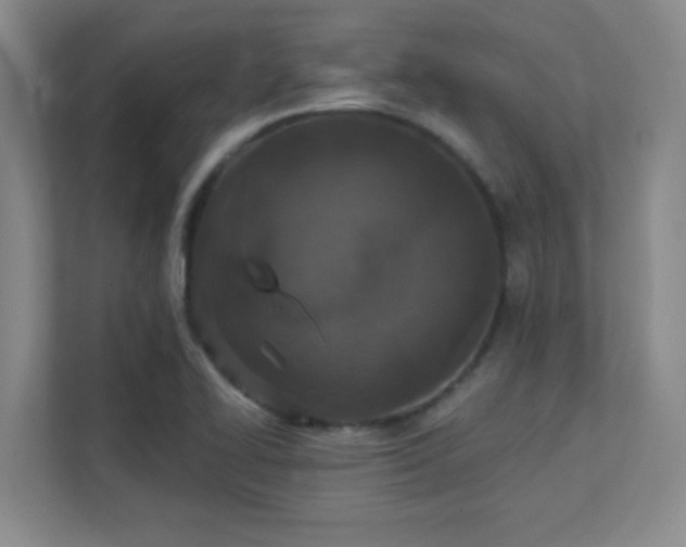 X0000112021414200908101353