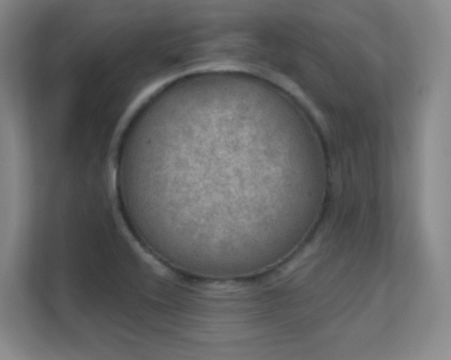 X0000112021416200908101353