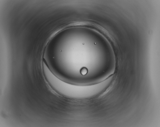 X0000112021417200908101353