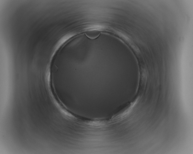 X0000112021418200908101353