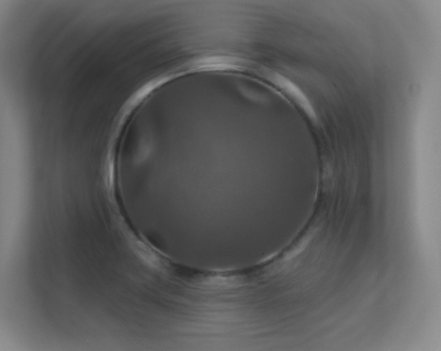 X0000112021419200908101353