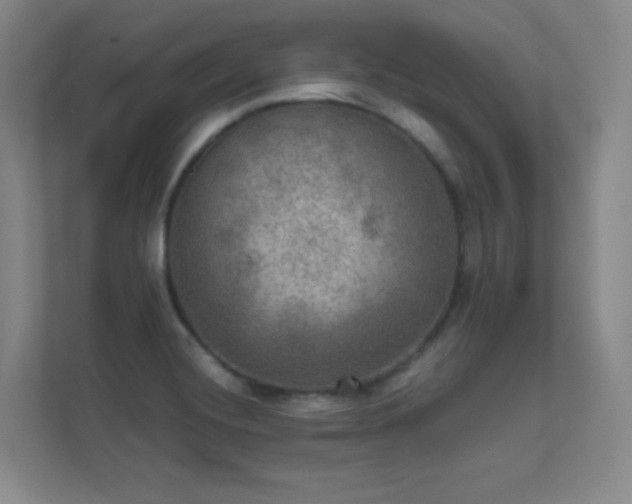 X0000112021420200908101353