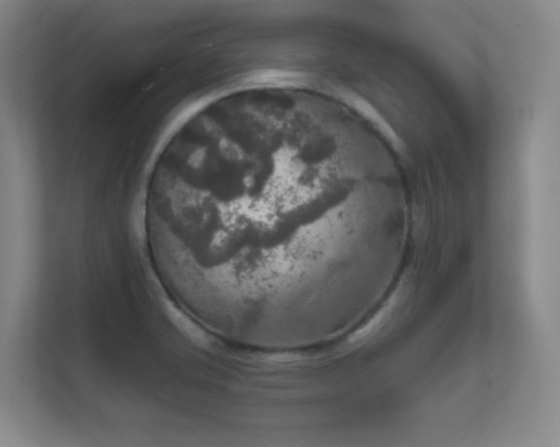 X0000112021421200908101353