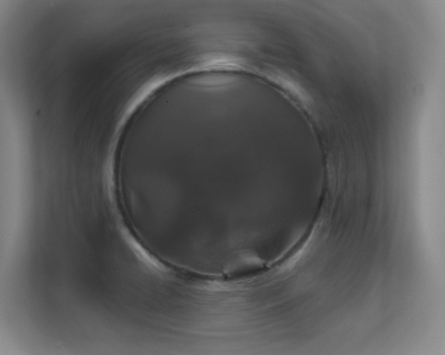 X0000112021422200908101353