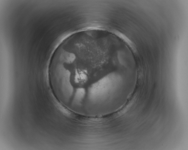 X0000112021423200908101353