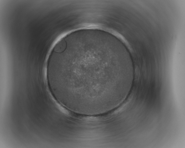 X0000112021424200908101353