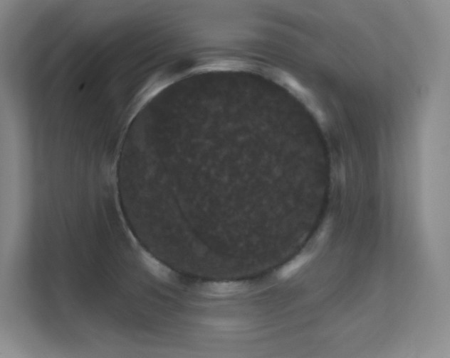 X0000112021425200908101353